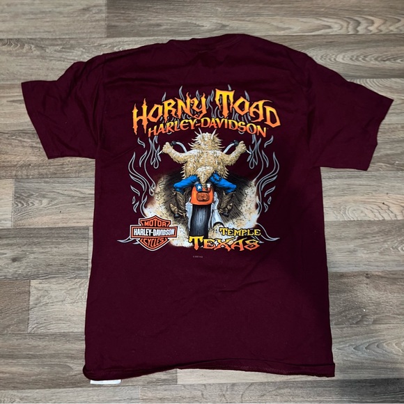 Harley Davidson Horny Toad Temple Texas T-shirt Men Size M - Picture 2 of 3